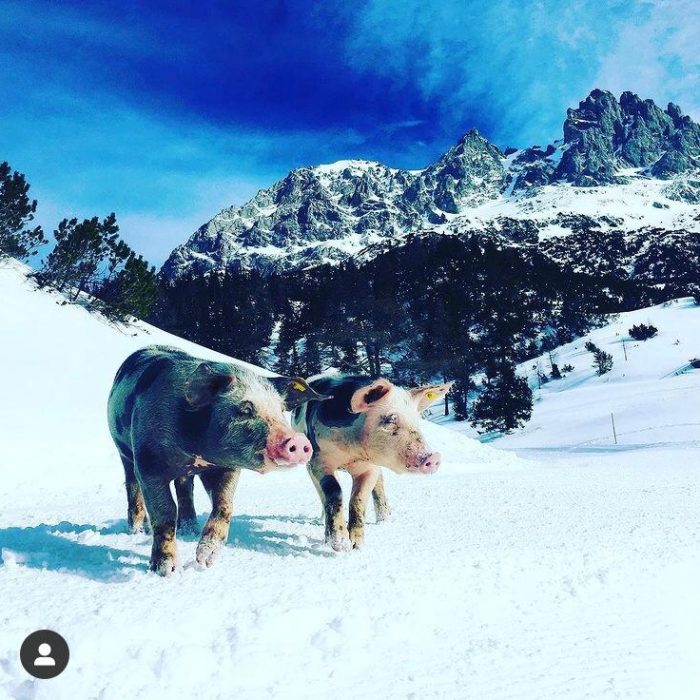 6c9a3d06-4326-47ff-b6df-75ca4efd1fcf